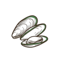 Green Lipped Mussel