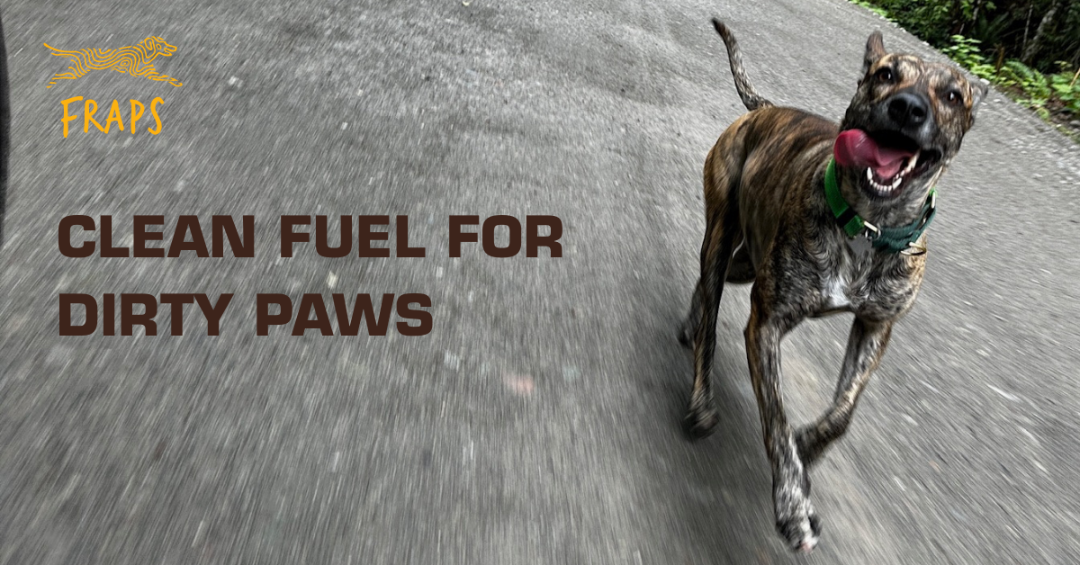 Adventure Dog Treat Bars - Clean Fuel for Active & Trail Dogs | FRAPS
– FRAPS Institute for Adventure Dogs