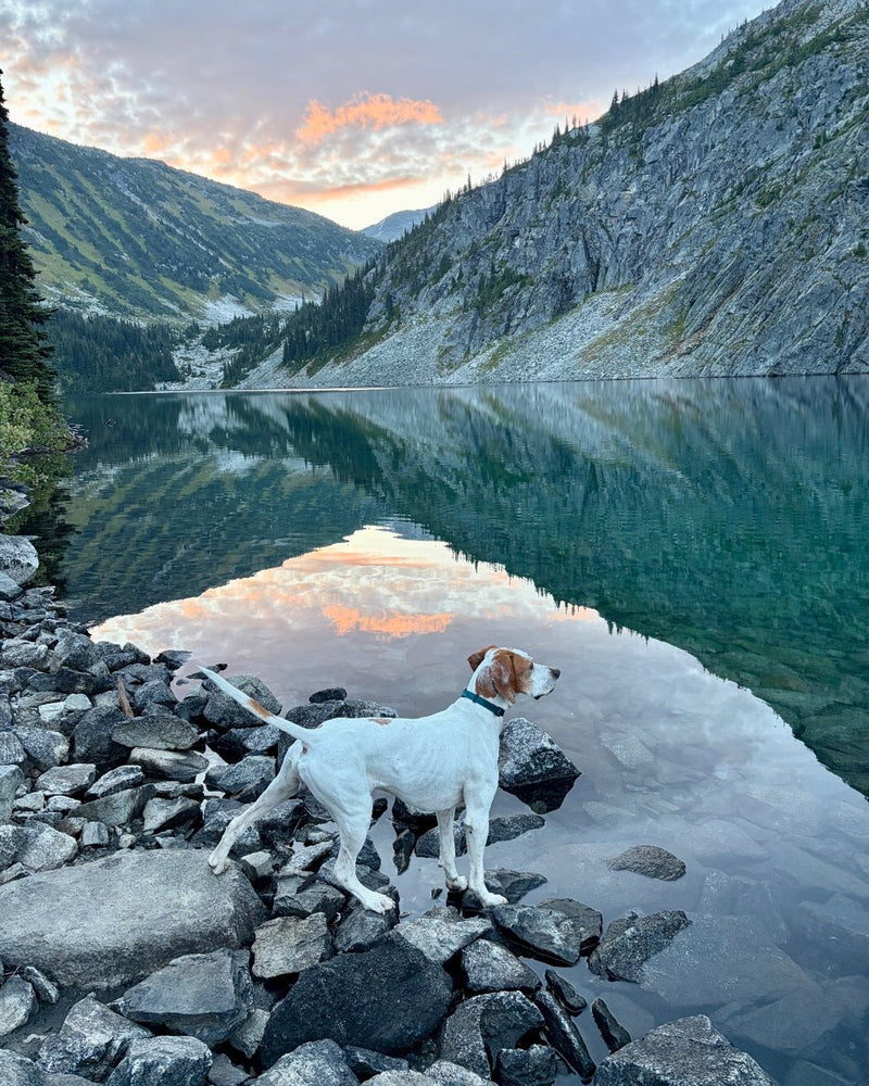 Felix, Chilliwack, BC
