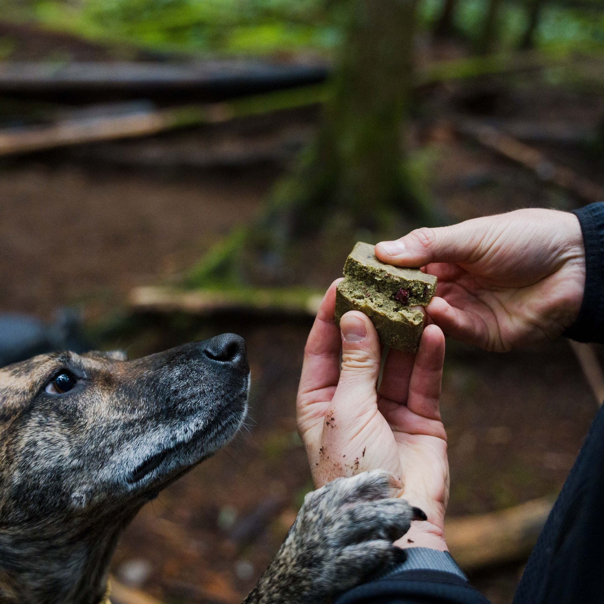 Best Made Canadian Dog Treats