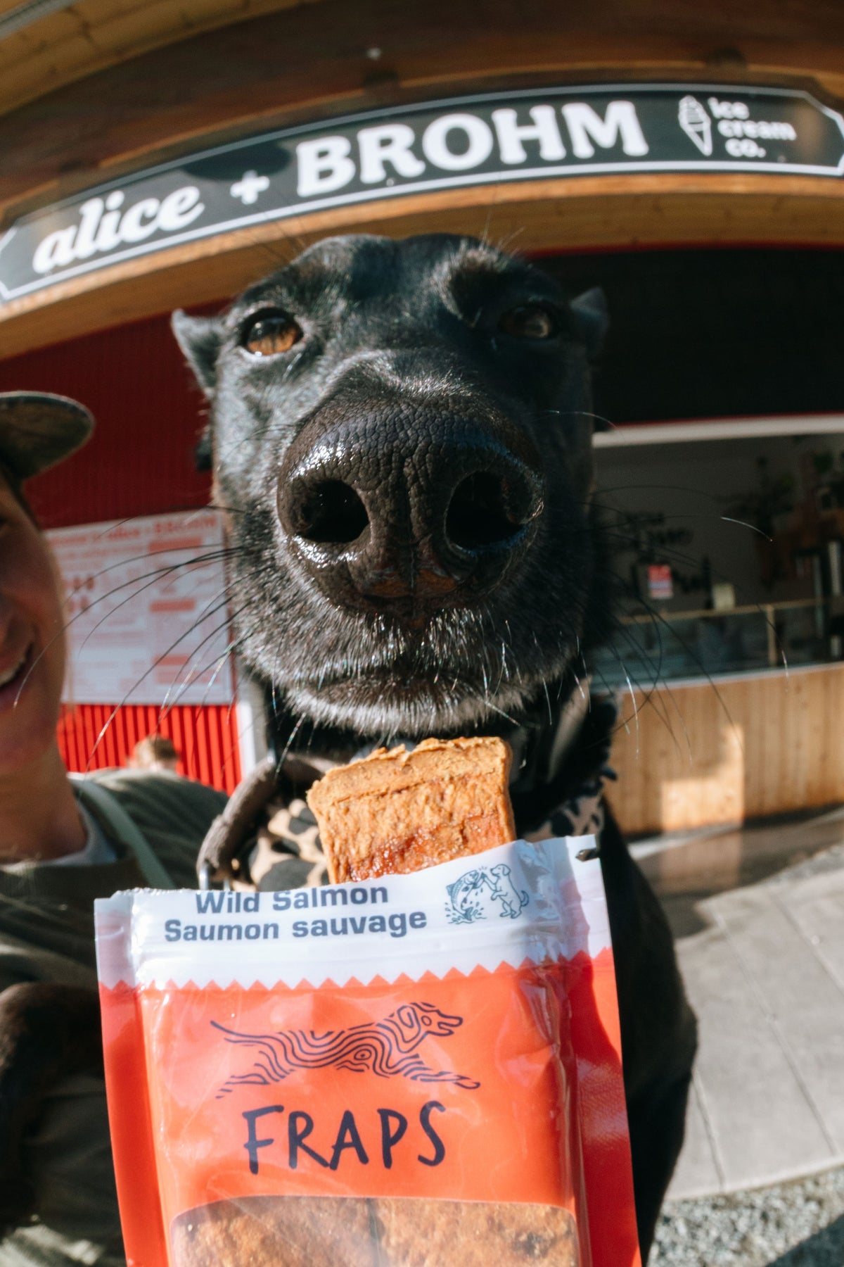 Dog taking a FRAPS bar