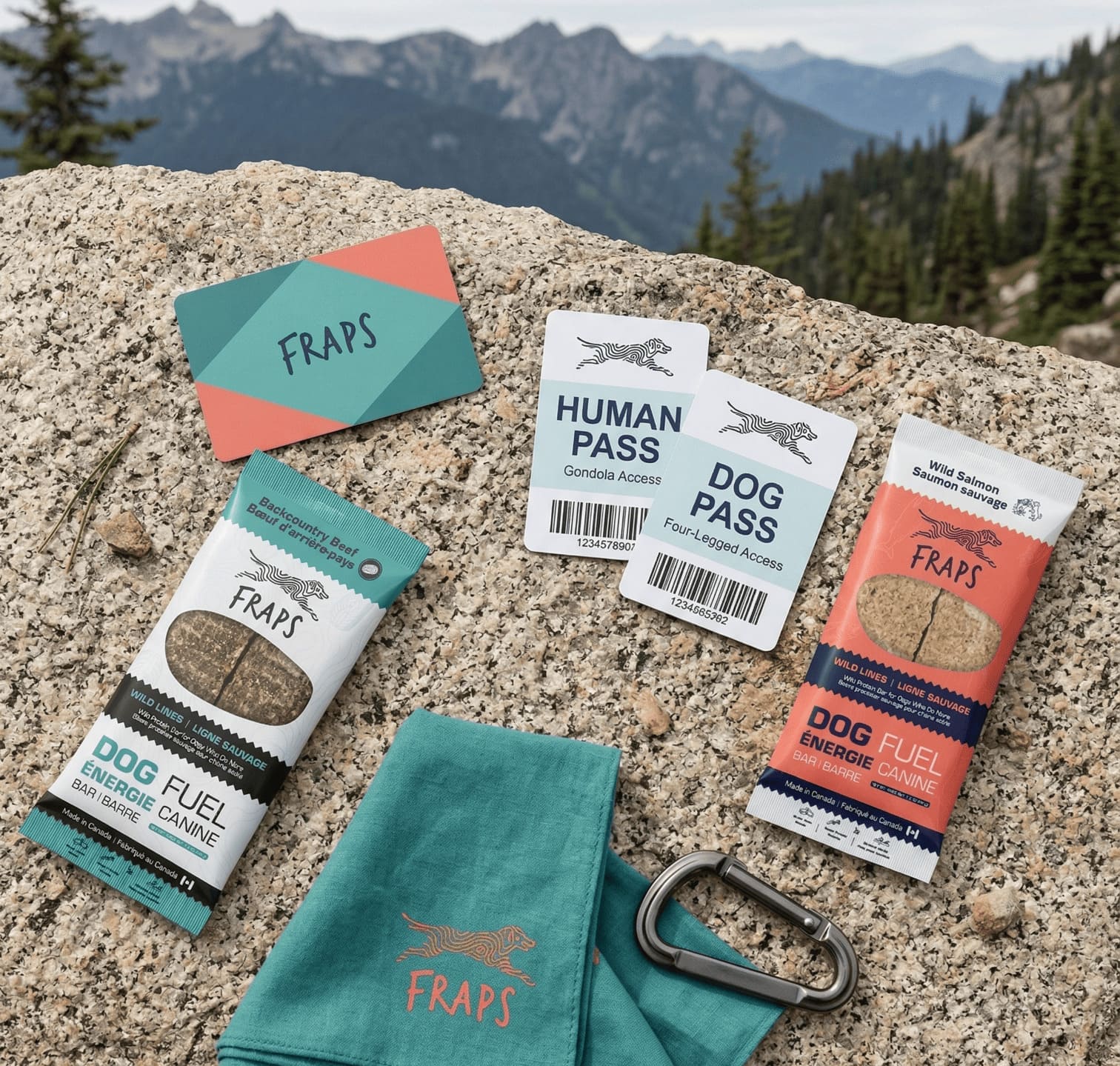 Dog food packages and accessories on a rock with mountain background