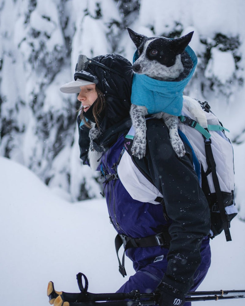 Bandit, Smithers, BC
