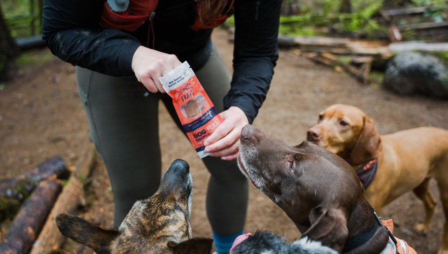FRAPS bar being handed to trail dogs, BC Business feature