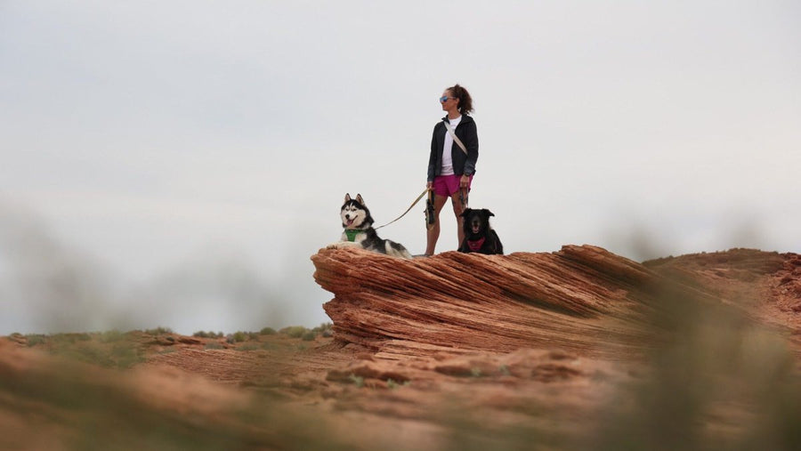 Jenny Quilty with her dogs on a desert ridge, Canadian Running feature