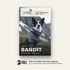 Top Adventure Dog 2027 wall calendar with champion Bandit on the cover