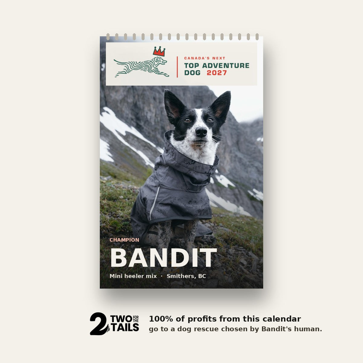 Top Adventure Dog 2027 wall calendar with champion Bandit on the cover